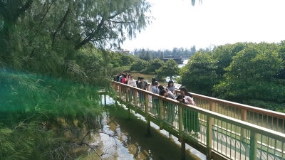 マングローブカヌー体験（県外修学旅行）