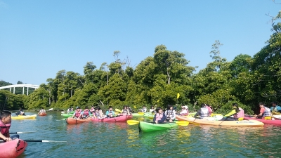 マングローブカヌー体験（県外修学旅行）