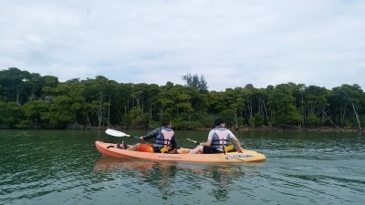 マングローブカヌー体験（県外修学旅行）