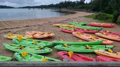 マングローブカヌー体験（県外修学旅行）